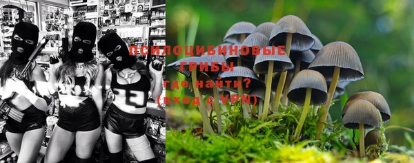 гидропоника Куйбышев
