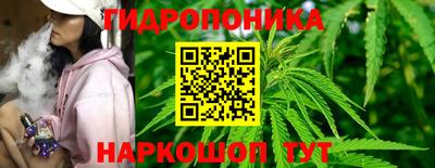 ECSTASY Гатчина