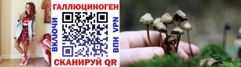 даркнет сайт  Малгобек  Псилоцибиновые грибы Cubensis 